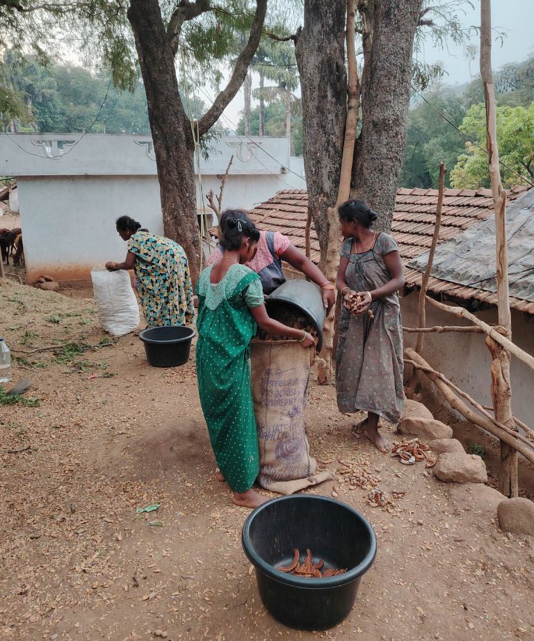 TRIBAL AREA